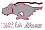 DataDirect